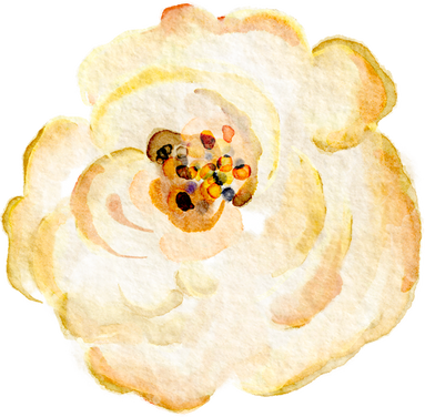 Watercolor Rose Flower